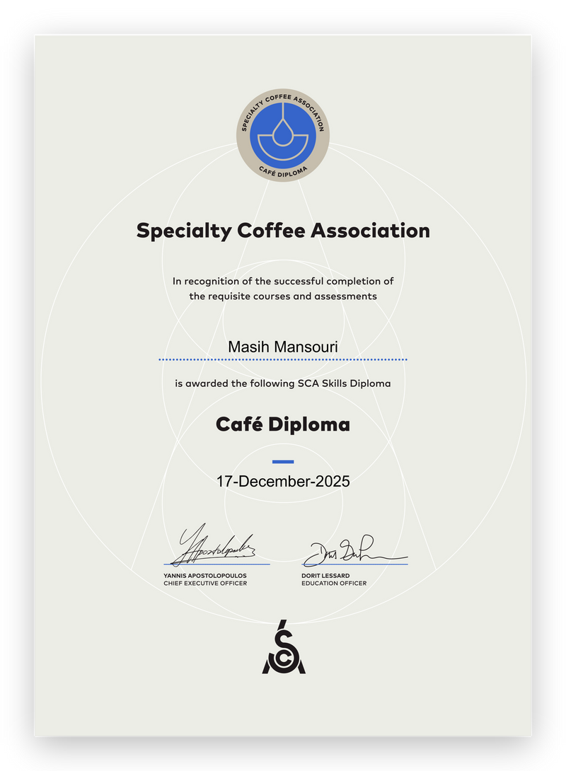 SCA Skills Diploma, Café Diploma, awarded to Masih Mansouri on 17 December 2025.