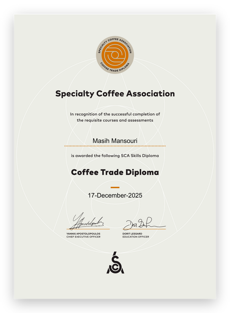 SCA Skills Diploma, Coffee Trade Diploma, awarded to Masih Mansouri on 17 December 2025.
