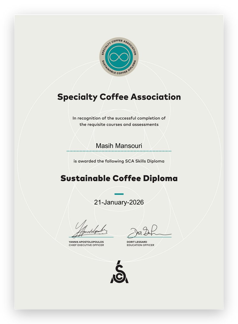 SCA Skills Diploma, Sustainable Coffee Diploma, awarded to Masih Mansouri on 21 January 2026.